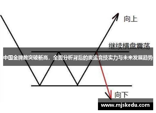 中国金牌数突破新高，全面分析背后的奥运竞技实力与未来发展趋势